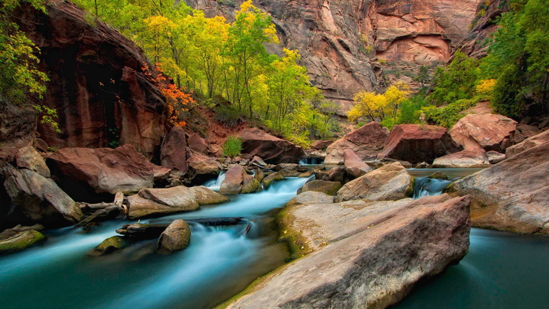 rocks, USA, stones, trees, Utah, the river virgin, 1080P, Zion, autumn