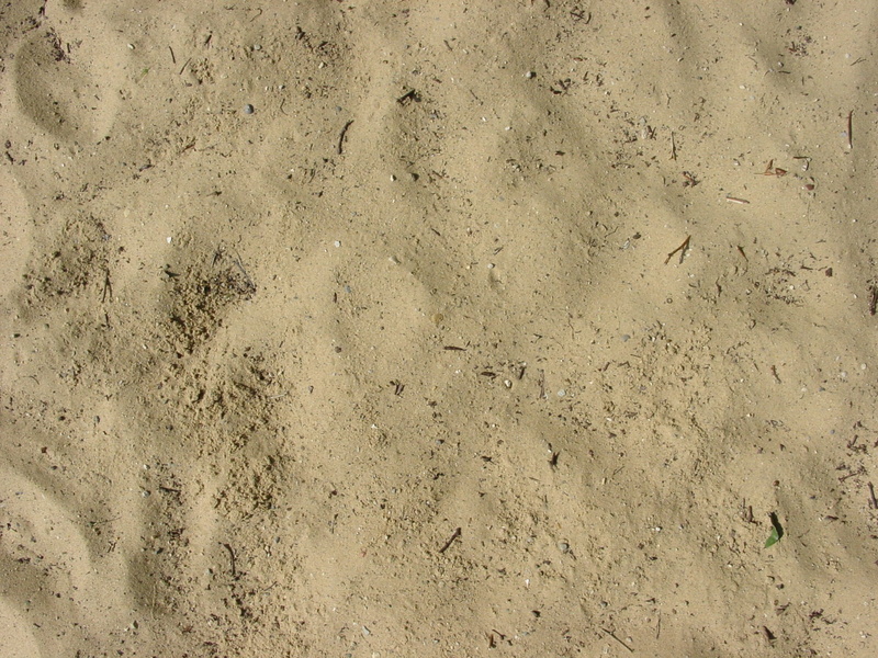 Sea, 1080P, soil, Beach, tranquil, beach, wall - building feature, Ocean, shore, concrete, brown, island, caribbean, marine, outdoor, Vacation, land, backgrounds