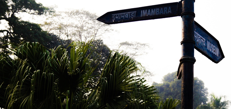 sign, growth, information sign, information, arbour, 4K, road sign, garden, script, nature, sky, outdoors, rainforest, plant, communication, directional sign