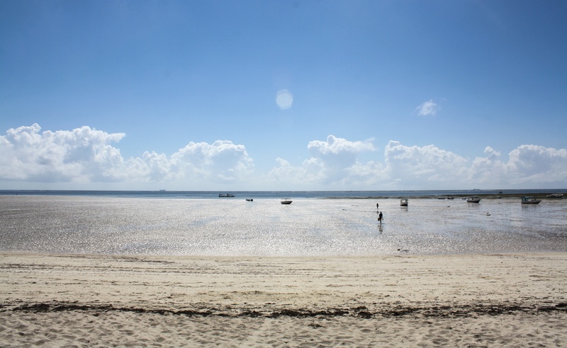 outdoors, bird, beauty in nature, non-urban scene, beach, horizon, tranquility, water, 4K, land, day, scenic, sky, cloud - sky, coast, ocean, nature, mombasa