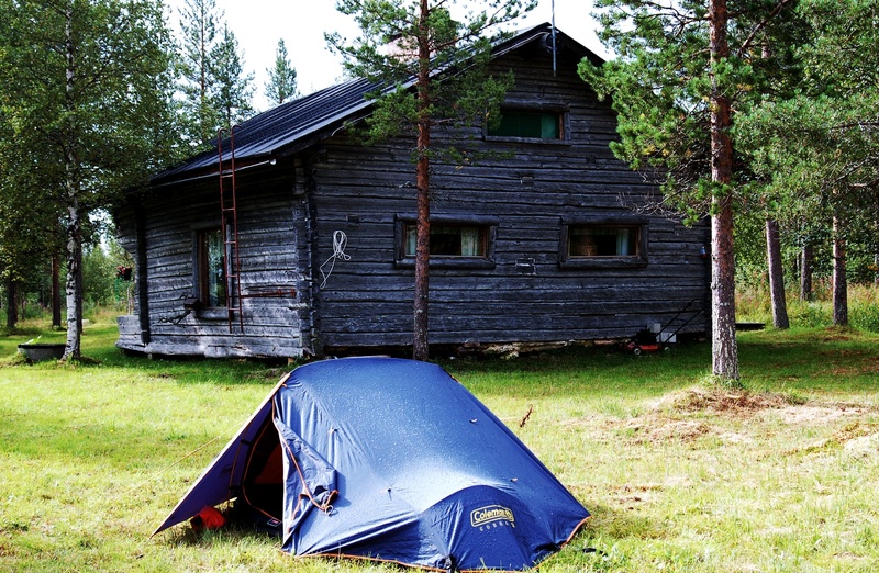 trees, building, tree, house, finland, wood, casa vieja, landscape, abandoned, 2K, land, soledad, field, agricultural, wood - material, plant, old, camper
