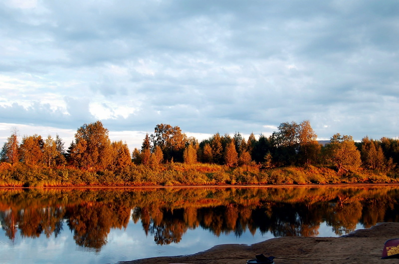 contrast, peace, non-urban scene, forest, daytime, tranquility, finland, water, autumn, sky, tranquil scene, growth, peaceful, natural condition, scenics - nature