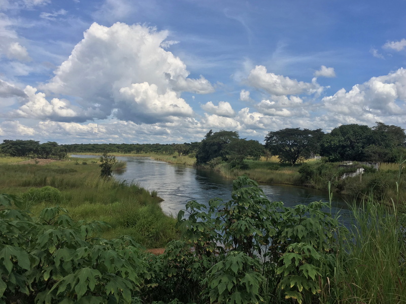 tranquil scene, plant, headwaters, cloud - sky, river, landscape, moxico province, tranquility, lush, beauty in nature, sky, nature, 4K, green color, outdoors