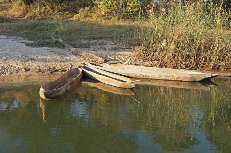 grass, wood - material, beauty in nature, driftwood, outdoors, waterfront, no people, namibia, nature, animal themes, lake, reflection, africa, animal