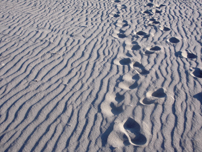 beach, barefoot, high angle view, natural pattern, sandy, sand beach, footprint, steps, arid climate, reprint, sunlight, climate, snow, landscape, winter