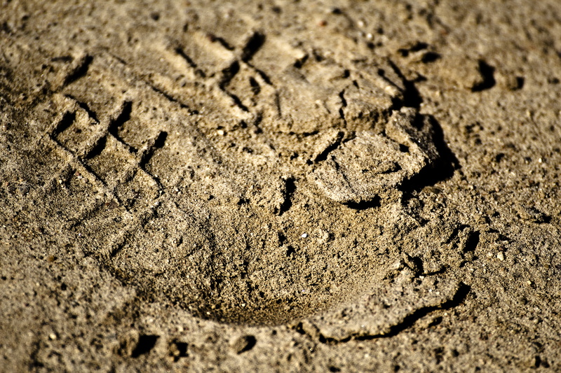 full frame, pattern, dirt, nature, mud, selective focus, animal, rough, reprint, high angle view, backgrounds, beach, day, land, trace, animal track, no people