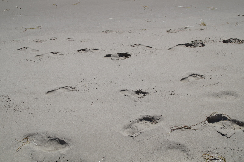 barefoot, mud, absence, holiday, outdoors, high angle view, walk, tranquility, nature, run, traces, sand, wet sand, reprint, tracks in the sand, feet, footprints in the sand