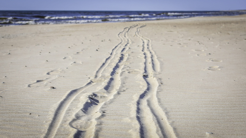 horizon, afternoon, day, tranquility, reprint, trail, outdoors, beach, land, no people, seashore, seascape, baltic sea, travel, track - imprint, leaving