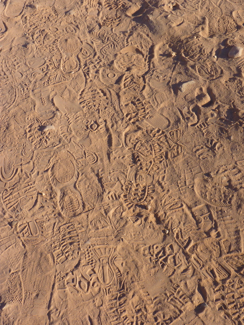 arid climate, sunlight, tranquility, 4K, pattern, beach, textured, high angle view, traces, Sand, tire track, Trace, occurs, brown, land, Reprint, print