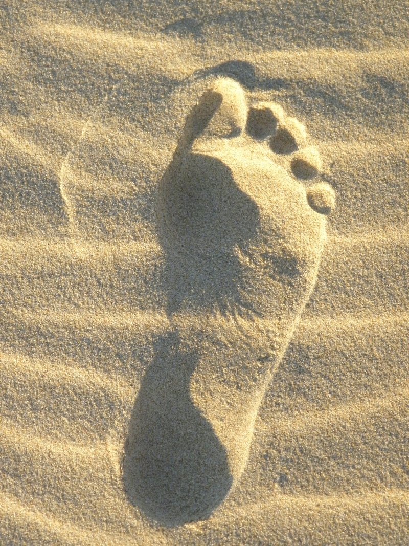 representation, one person, sand beach, shadow, reprint, summer, land, traces, leisure activity, 4K, sunlight, real people, beach, foot, unrecognizable person