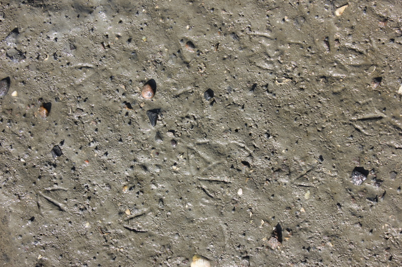north sea, wadden sea, sunlight, group of animals, beach, animal wildlife, 5K, leisure activity, bird, adventure, no people, traces, vertebrate, reprint