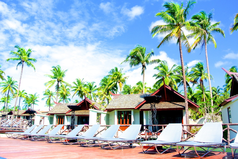 coconut palm tree, growth, tree, tropical, summer, travel Destinations, beach, resort, outdoors, idyllic, vocation, nature, vacations, sky, khao lak, thailand