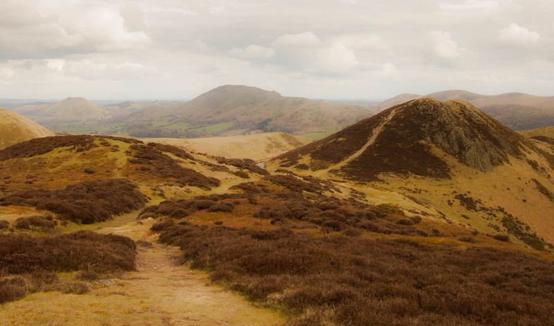 brush, Long Mynd, Altitude, colour, England, Colours, Countryside, hills, photo, nature, Hiking, UK, sky, Walking, serenity, mountain Peak, mountain, brown