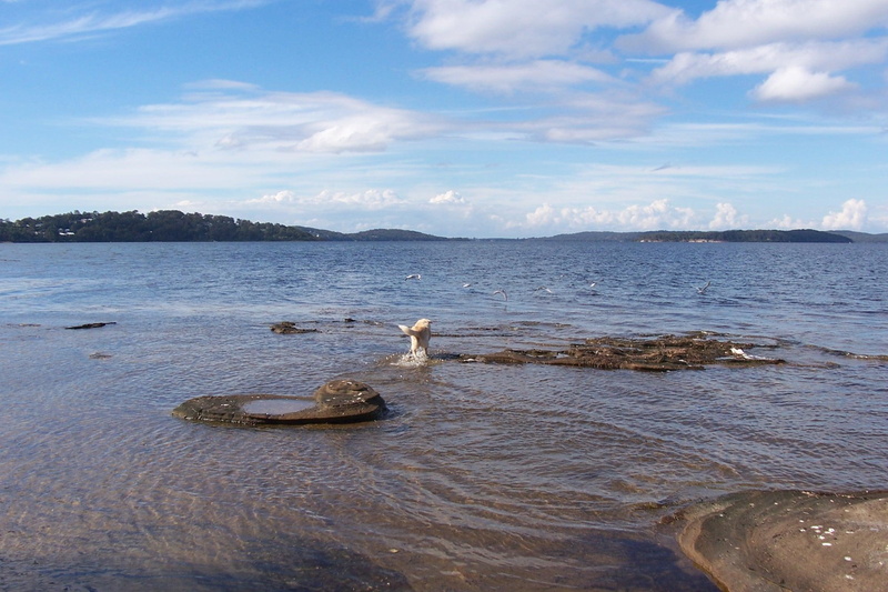 nature, waves, aussie, lake, beautiful, water, nature and landscapes, 1080P, macquarie