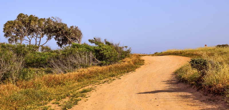 nature, non-urban scene, no People, scenics, summer, travel Locations, plant, beauty in nature, cavo greko, landscapes, land, environment, sky, 5K, Dirt Road