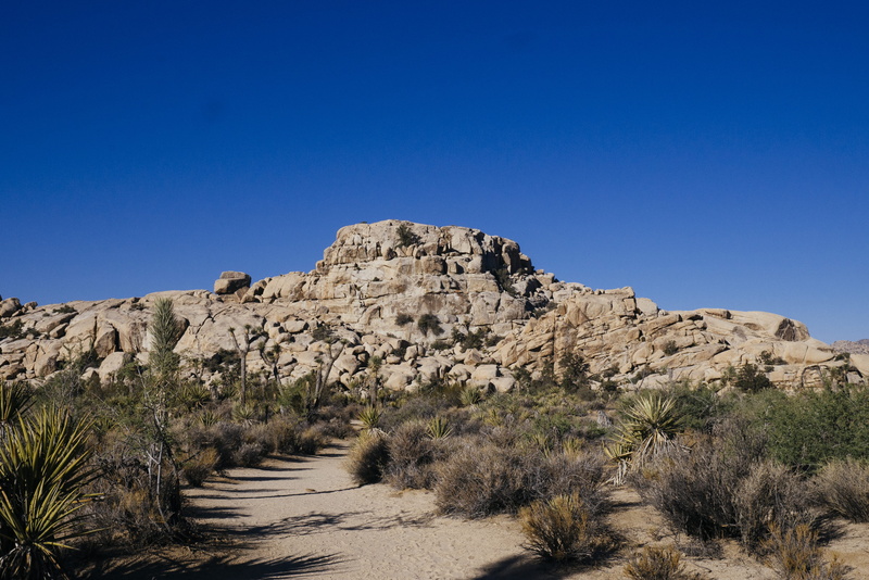 arid climate, rock, national park, rock - object, land, blue, day, sky, 4K, no people, clear sky, landscape, yucca, solid, nature, joshua tree national park
