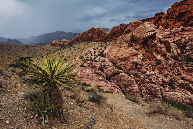arid climate, mountain, sky, scenics, rock, cloud - sky, non-urban scene, travel, nature, bushes, remote, sand, plant, clouds, barren, landscape, rocks