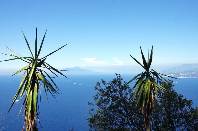 no people, beauty in nature, sea, day, yuccas, non-urban scene, 4K, growth, green, mountain, leaves, tree, coconut palm tree, palm tree, Island, blue