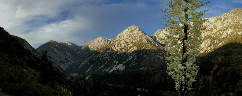 mountain range, mountain peak, sky, cloud - sky, mountain, plant, nature, land, coniferous tree, rock, environment, panoramic, california, solid, pine tree