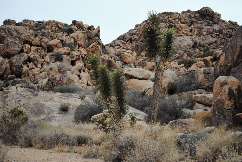 no people, eroded, scenics - nature, landscape, 4K, arid climate, land, growth, day, mountain, desert, rock - object, non-urban scene, formation, tranquil scene