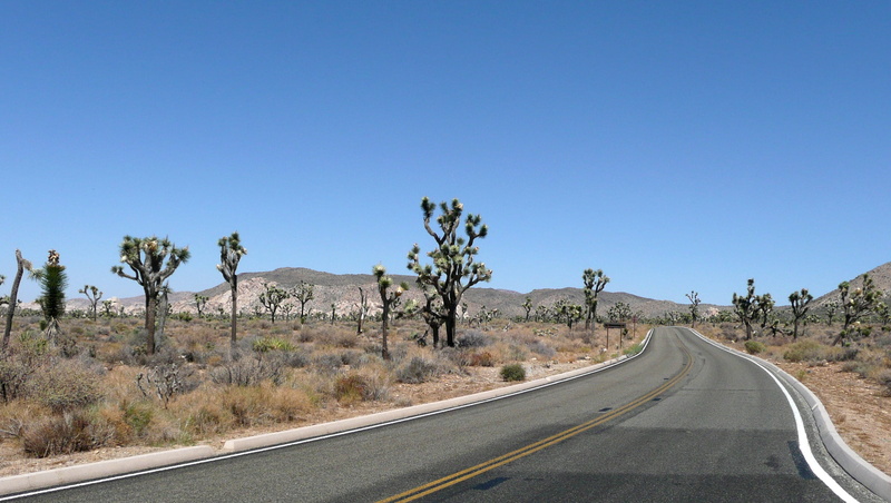 clear sky, dry, highway, sign, california, dust, desert road, travel Locations, direction, outdoors, tourist attraction, climate, diminishing perspective