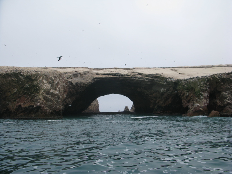 beauty in nature, built structure, ica region, 2K, waterfront, scenics - nature, costa, paracas, architecture, rock - object, sky, tranquil scene, day