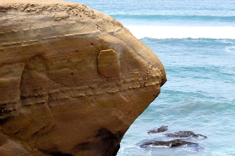 animal, scenics - nature, outdoors, nature, summer, beach, wave, travel destinations, rock, eroded, solid, sand, day, beauty in nature, no people, animal wildlife