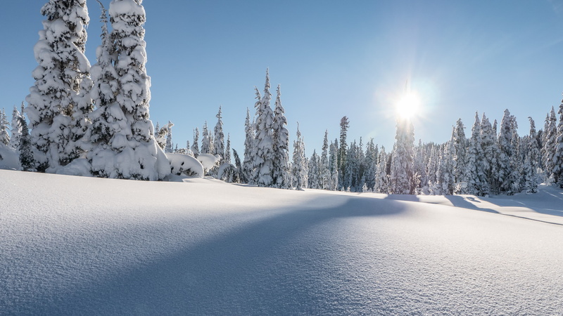 tree, scenics - nature, beauty in nature, sun, white color, 4K, snowcapped mountain, nature, Mount Washington, Snow, cold temperature, tranquility, 4k