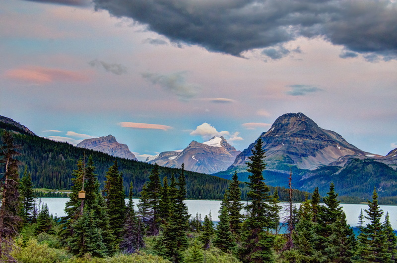 tranquil scene, pine, num-ti-jah, mountain, cloud - sky, pine tree, mountains, cold temperature, conifer, snowcapped mountain, plant, banff, across, tranquility