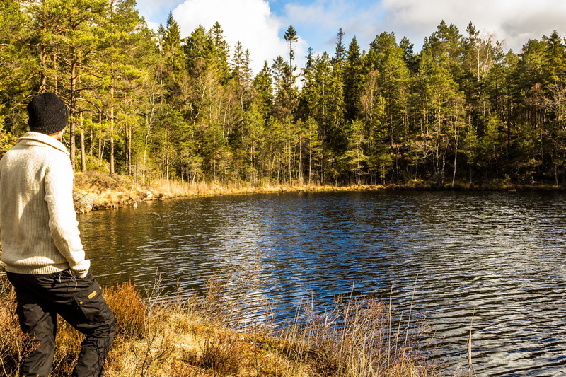 growth, innsjø, skog, scenics - nature, alene, frihet, non-urban scene, rear view, person, stirrende, camping, mann, våren, daytime, land, natur, day, standing