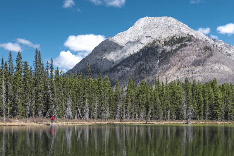 cloud - sky, kananaskis, waterfront, snowcapped mountain, one person, nature, plant, scenics - nature, day, water, canada, idyllic, lake, tree, reflection
