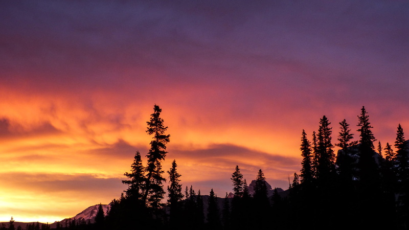 dark, no people, orange color, woodland, nature, evergreen tree, kananaski, scenics - nature, beauty in nature, silhouette, sunset, environment, sunrise