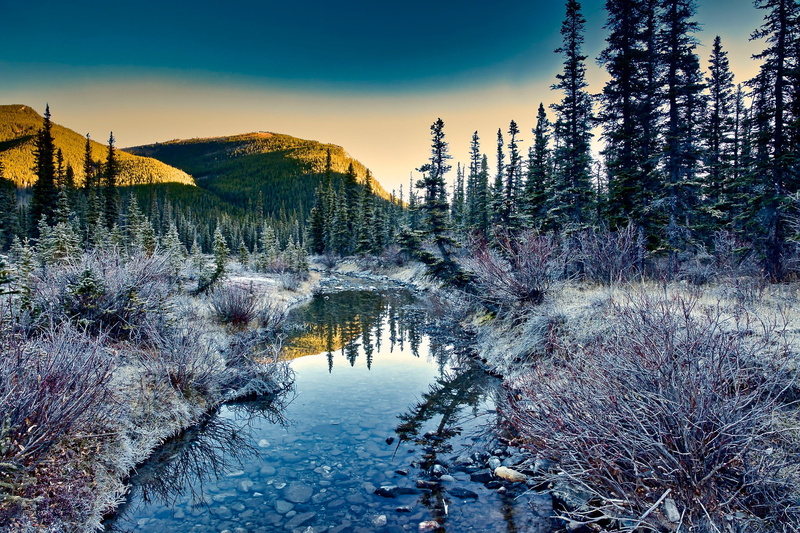 trees, frost, Canada, Kananaskis, the sky, stream, nature, mountains, 1080P, Albert, forest, the bushes, the sun, stones