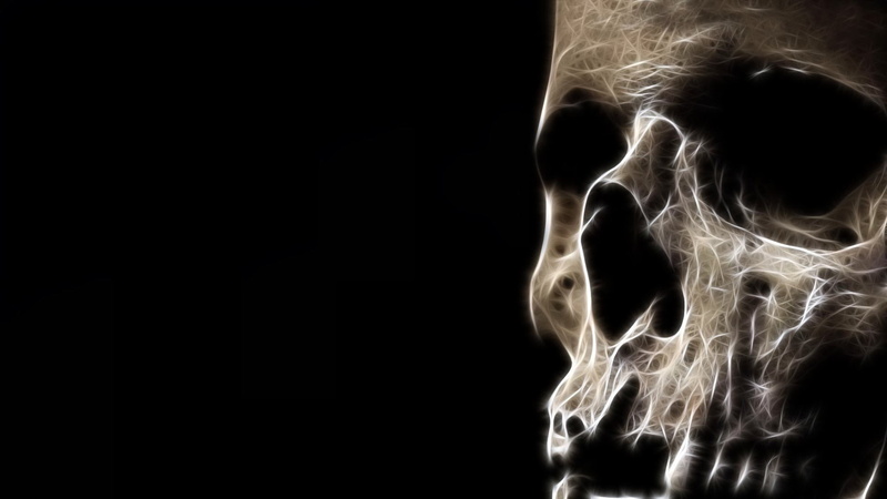 studio shot, skull  pictures, close-up, pattern, human limb, skeleton, human body part, human joint, healthcare and medicine, black background, bone, body part