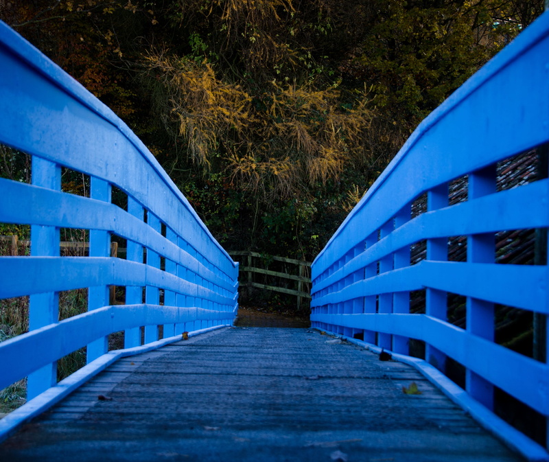 footbridge, landscape, connection, wood - material, idyllic, built structure, direction, woods, plant, architecture, old, railing, trees, nature, scenic