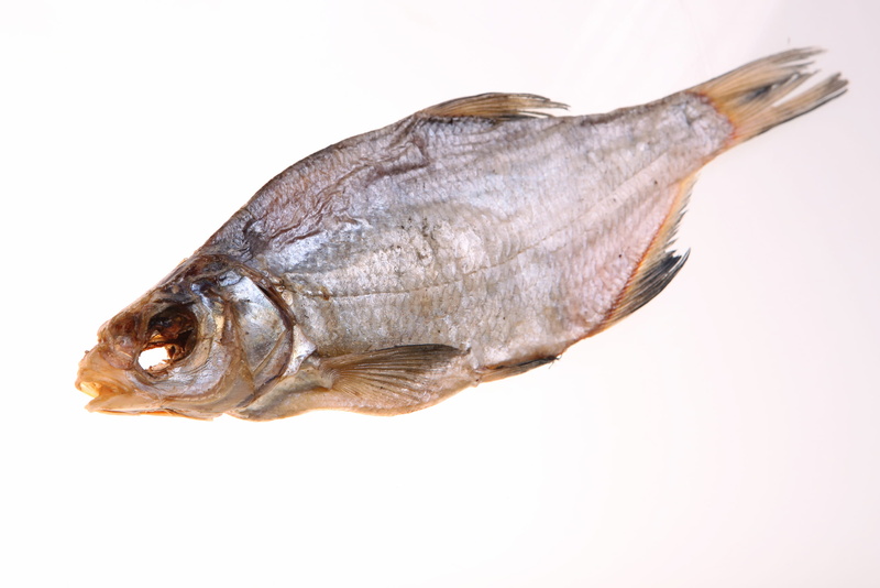 fish, vertebrate, indoors, food and drink, nutrition, prepared, cut out, preserve, isolated, cooked, animal, animal body part, single, traditional, roach