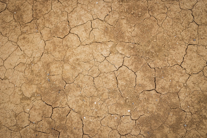 outdoors, crack, backgrounds, soil, no people, dry, natural pattern, nature, desert, close-up, mud, 2K, scenics - nature, textured effect, climate, abstract backgrounds