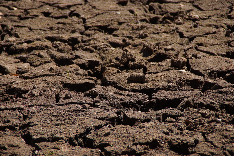 backgrounds, day, barren, landscape, land, arid climate, earth, 5K, cracked, mud, full frame, textured, outdoors, dry, close-up, pattern, engine, dehydrated