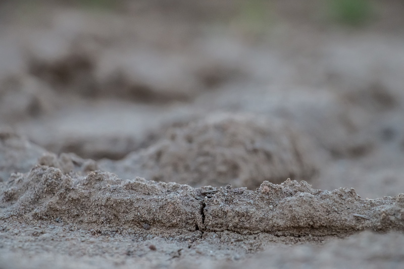 5K, agriculture, pattern, environment, close-up, solid, brown, root, rough, no people, drought, water, nature, dirt, land, withered earth, dry soil, outdoors