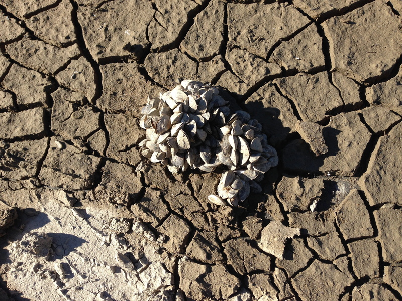 Earth, 2K, dirt, sunlight, Dry, Cracks, mud, nature, high angle view, no people, day, shadow, Dehydrated, cracked, outdoors, climate, drought, landscape