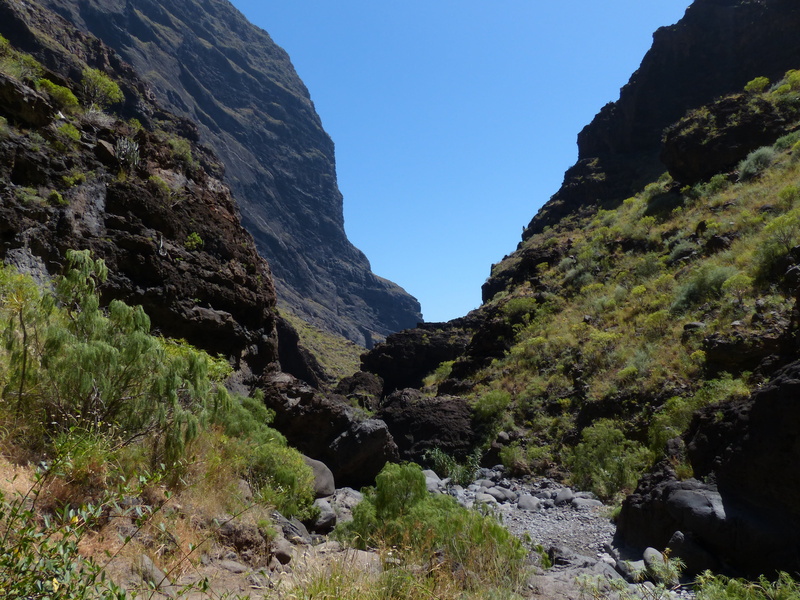 rock, mountains, masca ravine, formation, day, hike, plant, rock - object, solid, teno mountains, clear sky, dehydrated, scenics - nature, gorge, non-urban scene