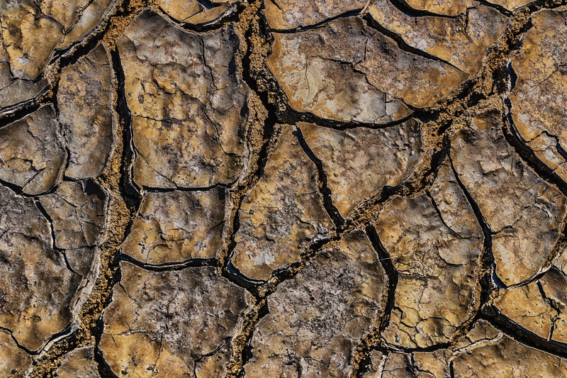 5K, plant bark, trunk, close-up, pattern, rough, day, rock - object, drought, dry, textured, land, hot, solid, climate, bark, desert, tree, heat, cracked