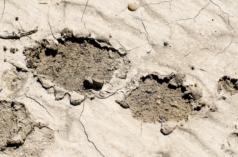 day, climate, nature, rock, 4K, shoe print, foot, muddy footprint, footprint, boot print, animal, sand, dirt, muddy, animal wildlife, animal themes, boot