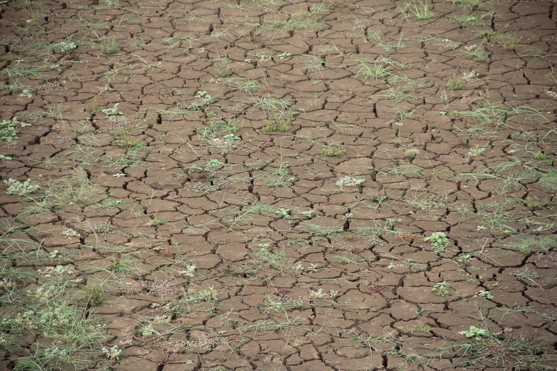 cracks, soil, barren, parching, clay soil, arid climate, high angle view, pattern, ground, mud, field, global warming, drought, 5K, land, summer, brown