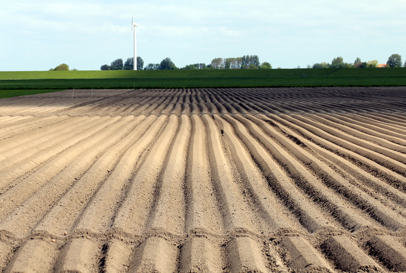 series, soil, 4K, rural scene, sky, furrow, symmetry, arable, landscape, architecture, growth, alternative energy, cultivation, potato cultivation, agriculture