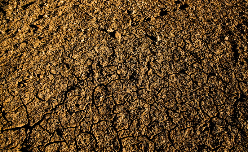 floor, cracks, mud, nature, climate, backgrounds, land, soil, close-up, quartered, bark, texture, no people, broken, drought, arid climate, dirt, dry, scenics - nature