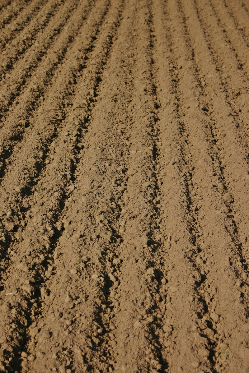 backgrounds, field, nature, fields, Furrow, farm, ackerfurchen, 2K, high angle view, growth, day, desert, cultivation, rural scene, ground, outdoors, tranquil scene