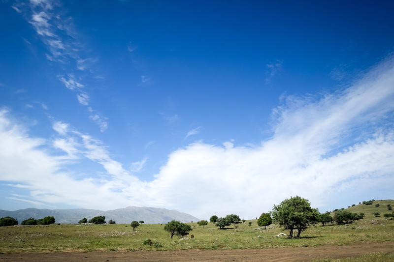 blue, environment, semi-arid, sky, cloudscape, nature, field, day, mountains, grass, trees, summer, plain, near, meadow, 5K, green, plant, rural Scene