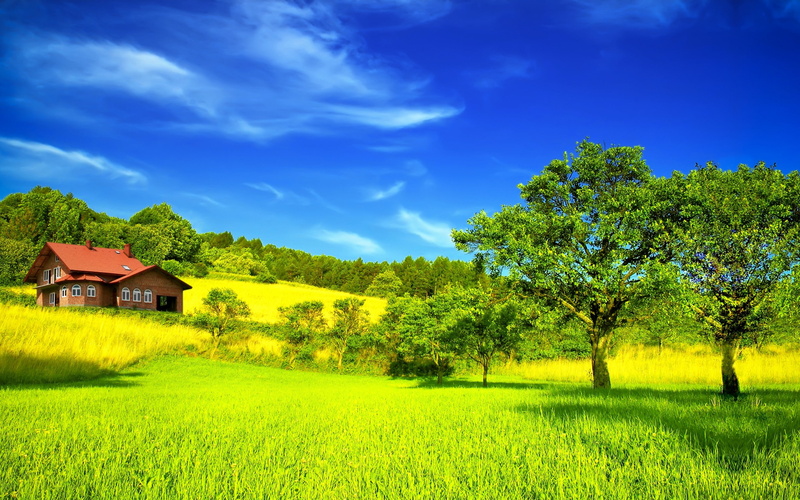 summer, field, 2K, green, shrubs, surrounded, sky, trees, house, clouds, leaved