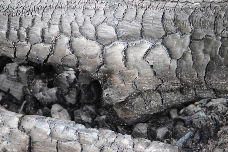 outdoors, day, rock - object, devastation, textured, tranquility, no people, sad, burned, 2K, nature, pattern, focus on foreground, wood, danger, selective focus